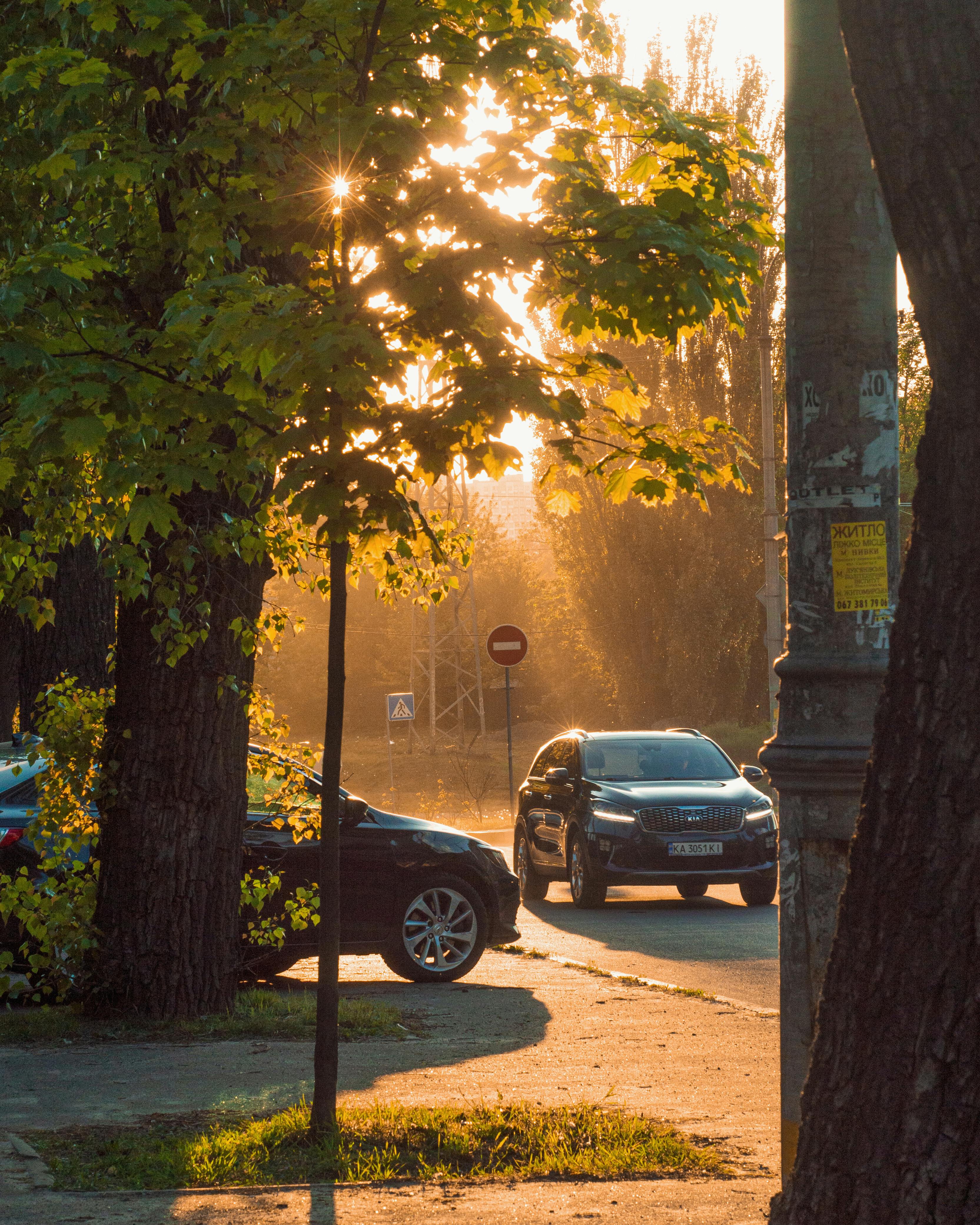 Sunlight filters through trees on a street with two dark parked cars and a no-entry sign.